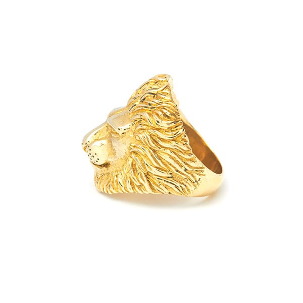 Lion Ring - Leeuw Ring - Leeuwenkop - Lion Head Around Your Finger – Mvdt  Collection