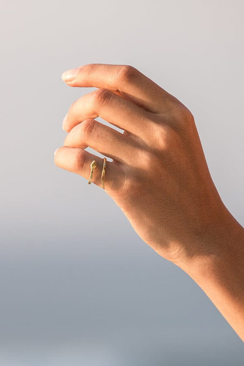 Snake Ring Gold - Slang Ring Goud - Air photo